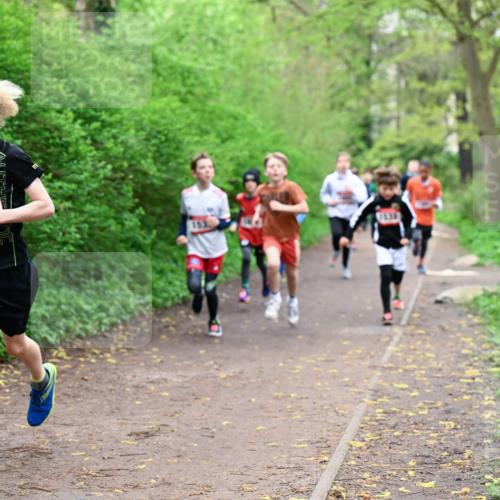 19.04.2026 - Hammer Lauf Dr. Thomas Lammeyer http://msf.ph/oto/9526954 19.04.2026 09:24:49 Laufen 1455, 1630 meine-sportfotos.de