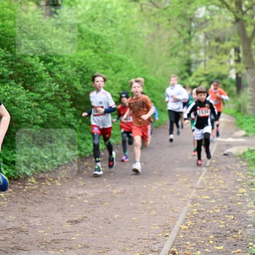 19.04.2026 - Hammer Lauf Dr. Thomas Lammeyer http://msf.ph/oto/9526957 19.04.2026 09:24:49 Laufen 1455, 3638 meine-sportfotos.de