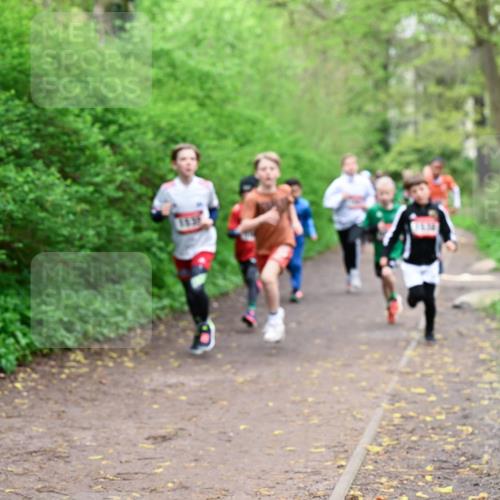 19.04.2026 - Hammer Lauf Dr. Thomas Lammeyer http://msf.ph/oto/9526958 19.04.2026 09:24:49 Laufen  meine-sportfotos.de