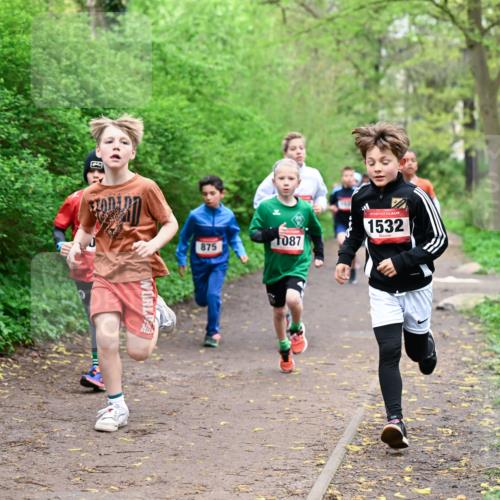 19.04.2026 - Hammer Lauf Dr. Thomas Lammeyer http://msf.ph/oto/9526972 19.04.2026 09:24:51 Laufen 153, 875, 1087, 1532 meine-sportfotos.de