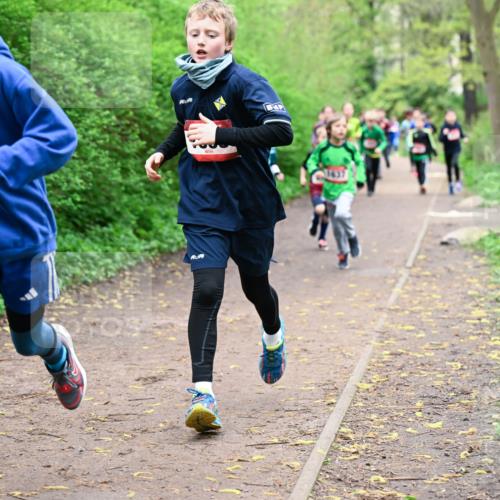 19.04.2026 - Hammer Lauf Dr. Thomas Lammeyer http://msf.ph/oto/9527005 19.04.2026 09:24:55 Laufen 1099 meine-sportfotos.de