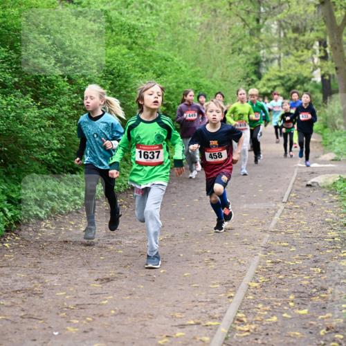 19.04.2026 - Hammer Lauf Dr. Thomas Lammeyer http://msf.ph/oto/9527021 19.04.2026 09:24:57 Laufen 449, 1637, 458, 1915 meine-sportfotos.de