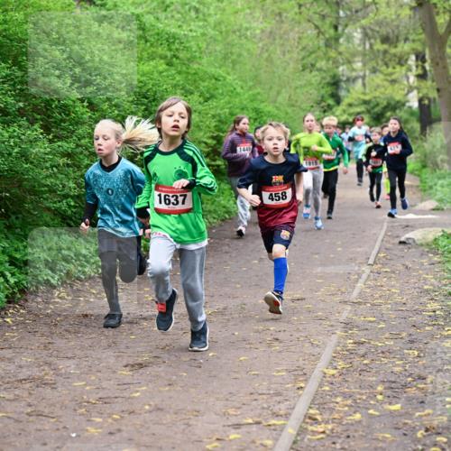 19.04.2026 - Hammer Lauf Dr. Thomas Lammeyer http://msf.ph/oto/9527024 19.04.2026 09:24:57 Laufen 1637, 458, 1915, 400 meine-sportfotos.de