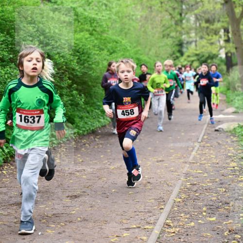 19.04.2026 - Hammer Lauf Dr. Thomas Lammeyer http://msf.ph/oto/9527027 19.04.2026 09:24:58 Laufen 1637, 458 meine-sportfotos.de
