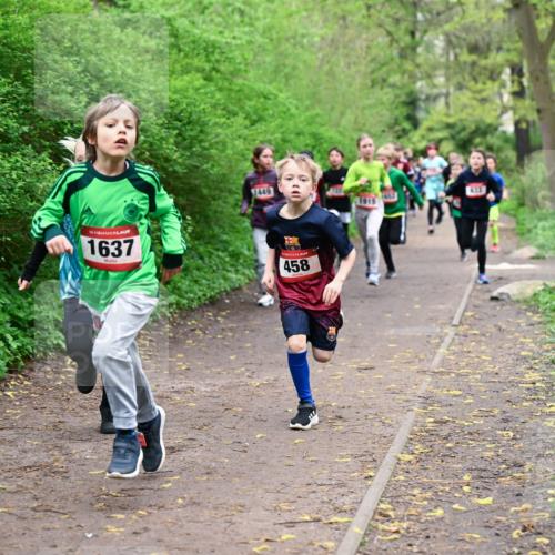 19.04.2026 - Hammer Lauf Dr. Thomas Lammeyer http://msf.ph/oto/9527028 19.04.2026 09:24:57 Laufen 1637, 1449, 458, 1915 meine-sportfotos.de