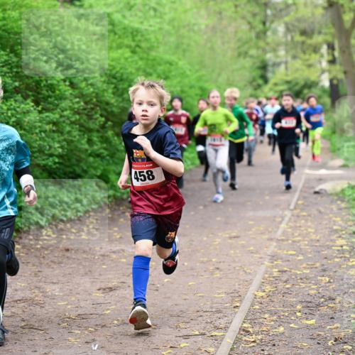 19.04.2026 - Hammer Lauf Dr. Thomas Lammeyer http://msf.ph/oto/9527033 19.04.2026 09:24:58 Laufen 458 meine-sportfotos.de