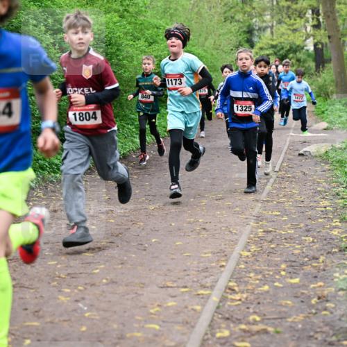 19.04.2026 - Hammer Lauf Dr. Thomas Lammeyer http://msf.ph/oto/9527070 19.04.2026 09:25:03 Laufen 1154, 1804, 840, 1173, 1325, 1477 meine-sportfotos.de