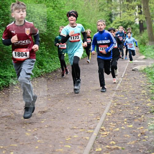 19.04.2026 - Hammer Lauf Dr. Thomas Lammeyer http://msf.ph/oto/9527073 19.04.2026 09:25:03 Laufen 1804, 840, 1173, 875, 1325, 1477 meine-sportfotos.de