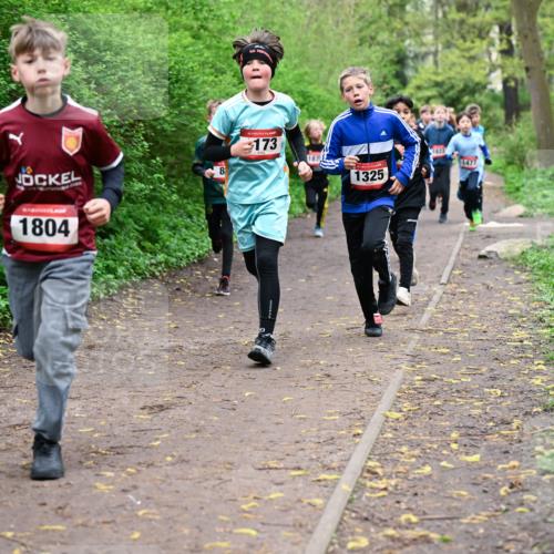 19.04.2026 - Hammer Lauf Dr. Thomas Lammeyer http://msf.ph/oto/9527075 19.04.2026 09:25:03 Laufen 1804, 173, 187, 1325, 1629 meine-sportfotos.de