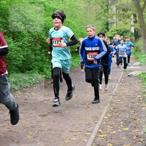 19.04.2026 - Hammer Lauf Dr. Thomas Lammeyer http://msf.ph/oto/9527076 19.04.2026 09:25:04 Laufen 1804, 1173, 1325 meine-sportfotos.de