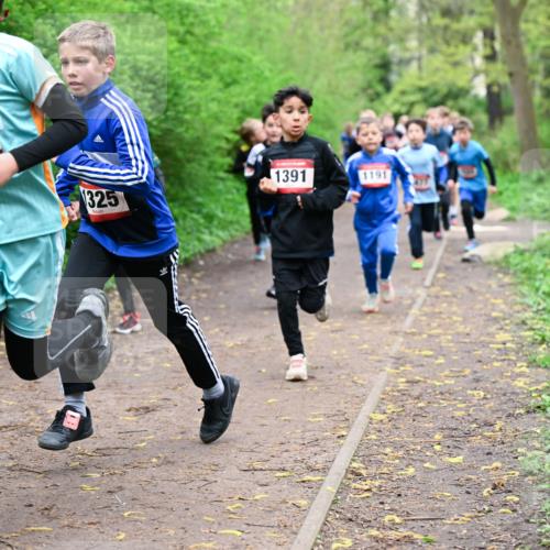 19.04.2026 - Hammer Lauf Dr. Thomas Lammeyer http://msf.ph/oto/9527084 19.04.2026 09:25:05 Laufen 1173, 1325, 1391, 1191 meine-sportfotos.de