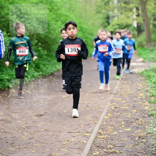 19.04.2026 - Hammer Lauf Dr. Thomas Lammeyer http://msf.ph/oto/9527087 19.04.2026 09:25:05 Laufen 325, 840, 139, 1191 meine-sportfotos.de