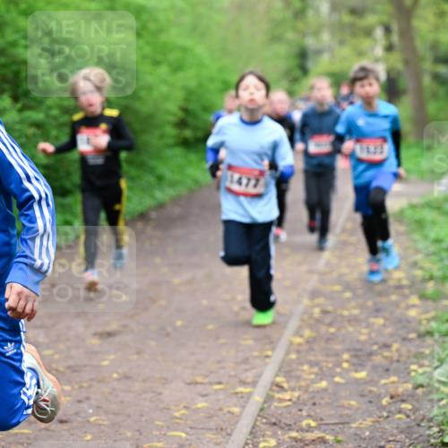 19.04.2026 - Hammer Lauf Dr. Thomas Lammeyer http://msf.ph/oto/9527105 19.04.2026 09:25:07 Laufen 1191 meine-sportfotos.de