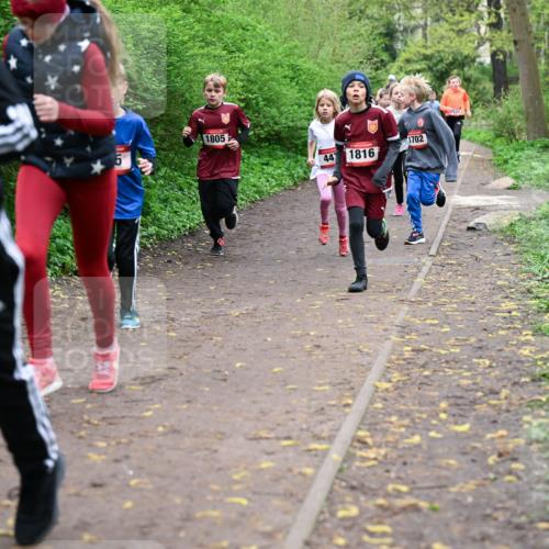 19.04.2026 - Hammer Lauf Dr. Thomas Lammeyer http://msf.ph/oto/9527146 19.04.2026 09:25:12 Laufen 1805, 447, 1702, 1816 meine-sportfotos.de