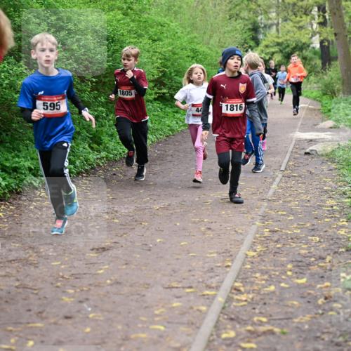 19.04.2026 - Hammer Lauf Dr. Thomas Lammeyer http://msf.ph/oto/9527151 19.04.2026 09:25:12 Laufen 595, 1805, 1816 meine-sportfotos.de