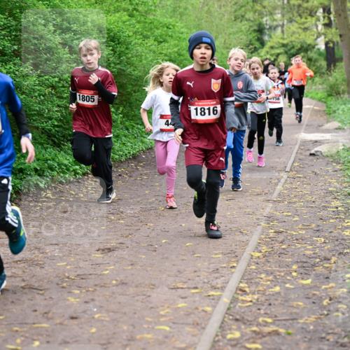 19.04.2026 - Hammer Lauf Dr. Thomas Lammeyer http://msf.ph/oto/9527157 19.04.2026 09:25:13 Laufen 595, 1805, 1816, 156 meine-sportfotos.de