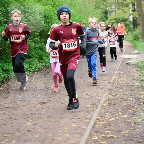 19.04.2026 - Hammer Lauf Dr. Thomas Lammeyer http://msf.ph/oto/9527162 19.04.2026 09:25:13 Laufen 1805, 447, 1816, 1756 meine-sportfotos.de