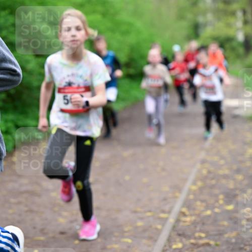 19.04.2026 - Hammer Lauf Dr. Thomas Lammeyer http://msf.ph/oto/9527185 19.04.2026 09:25:16 Laufen  meine-sportfotos.de