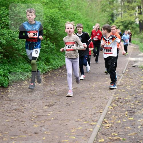19.04.2026 - Hammer Lauf Dr. Thomas Lammeyer http://msf.ph/oto/9527188 19.04.2026 09:25:16 Laufen 1273, 1756 meine-sportfotos.de
