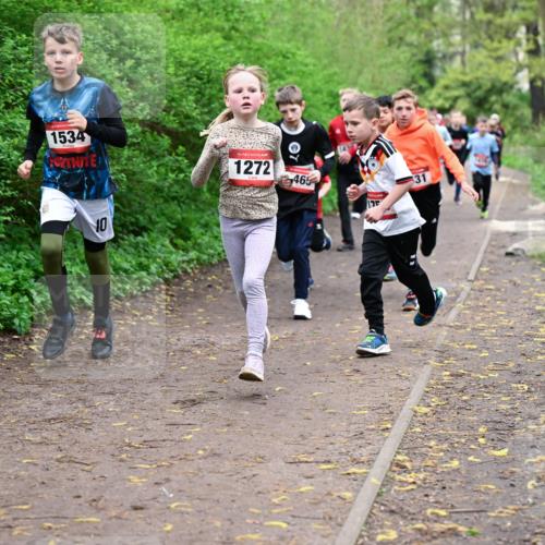 19.04.2026 - Hammer Lauf Dr. Thomas Lammeyer http://msf.ph/oto/9527190 19.04.2026 09:25:17 Laufen 1534, 1272, 465 meine-sportfotos.de