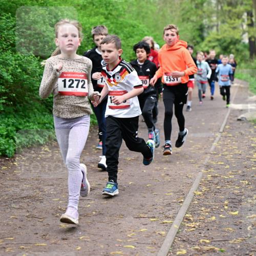 19.04.2026 - Hammer Lauf Dr. Thomas Lammeyer http://msf.ph/oto/9527199 19.04.2026 09:25:17 Laufen 153, 1272, 1531 meine-sportfotos.de