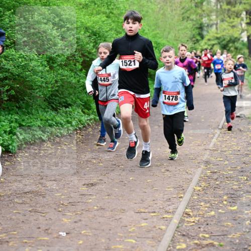 19.04.2026 - Hammer Lauf Dr. Thomas Lammeyer http://msf.ph/oto/9527234 19.04.2026 09:25:21 Laufen 1051, 1445, 1521, 1478 meine-sportfotos.de