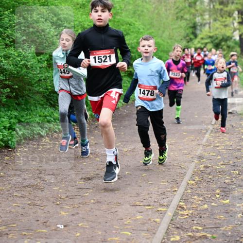19.04.2026 - Hammer Lauf Dr. Thomas Lammeyer http://msf.ph/oto/9527239 19.04.2026 09:25:21 Laufen 445, 1521, 1523, 1478 meine-sportfotos.de