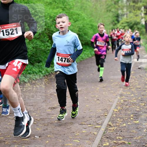 19.04.2026 - Hammer Lauf Dr. Thomas Lammeyer http://msf.ph/oto/9527245 19.04.2026 09:25:22 Laufen 1521, 144, 1523, 172, 1478 meine-sportfotos.de