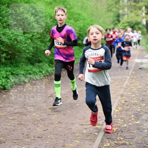 19.04.2026 - Hammer Lauf Dr. Thomas Lammeyer http://msf.ph/oto/9527262 19.04.2026 09:25:23 Laufen 152 meine-sportfotos.de