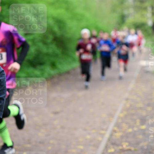 19.04.2026 - Hammer Lauf Dr. Thomas Lammeyer http://msf.ph/oto/9527272 19.04.2026 09:25:24 Laufen  meine-sportfotos.de