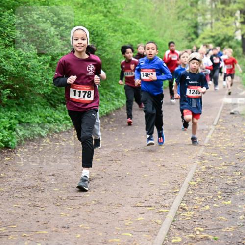 19.04.2026 - Hammer Lauf Dr. Thomas Lammeyer http://msf.ph/oto/9527280 19.04.2026 09:25:25 Laufen 1178, 1810, 146, 1240 meine-sportfotos.de