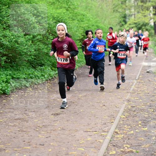 19.04.2026 - Hammer Lauf Dr. Thomas Lammeyer http://msf.ph/oto/9527282 19.04.2026 09:25:25 Laufen 1240, 1178 meine-sportfotos.de