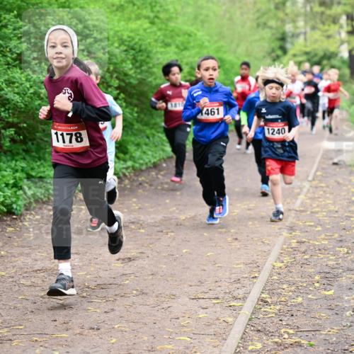 19.04.2026 - Hammer Lauf Dr. Thomas Lammeyer http://msf.ph/oto/9527283 19.04.2026 09:25:26 Laufen 1178, 461, 1240 meine-sportfotos.de