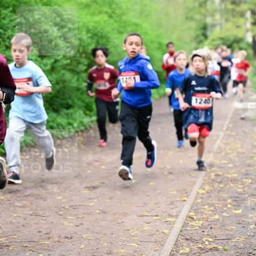 19.04.2026 - Hammer Lauf Dr. Thomas Lammeyer http://msf.ph/oto/9527288 19.04.2026 09:25:26 Laufen 1178, 1240 meine-sportfotos.de