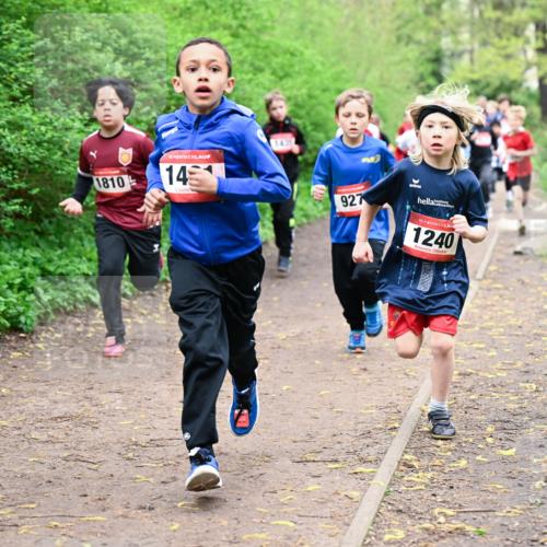 19.04.2026 - Hammer Lauf Dr. Thomas Lammeyer http://msf.ph/oto/9527294 19.04.2026 09:25:27 Laufen 1810, 927, 1240 meine-sportfotos.de