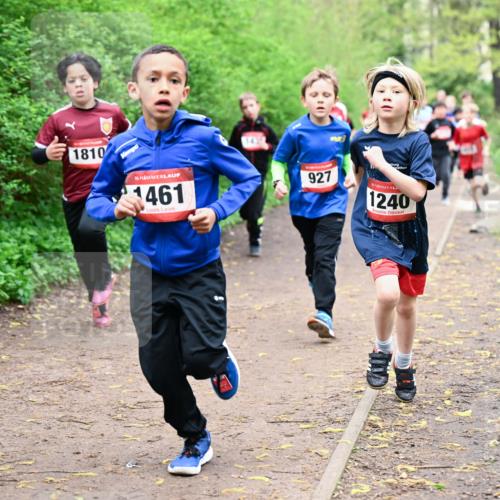 19.04.2026 - Hammer Lauf Dr. Thomas Lammeyer http://msf.ph/oto/9527297 19.04.2026 09:25:27 Laufen 1810, 1461, 927, 1240 meine-sportfotos.de
