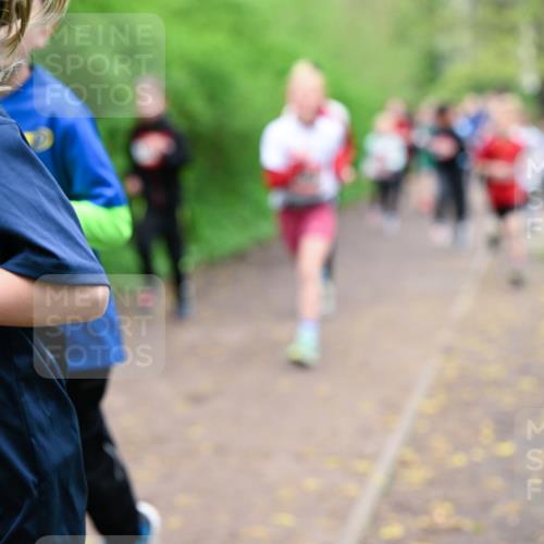 19.04.2026 - Hammer Lauf Dr. Thomas Lammeyer http://msf.ph/oto/9527311 19.04.2026 09:25:28 Laufen  meine-sportfotos.de