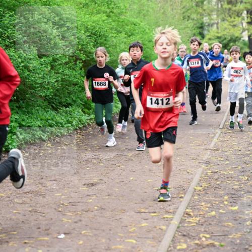 19.04.2026 - Hammer Lauf Dr. Thomas Lammeyer http://msf.ph/oto/9527331 19.04.2026 09:25:30 Laufen 1060, 1668, 1412, 1310, 462 meine-sportfotos.de