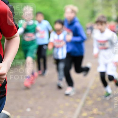 19.04.2026 - Hammer Lauf Dr. Thomas Lammeyer http://msf.ph/oto/9527359 19.04.2026 09:25:34 Laufen  meine-sportfotos.de