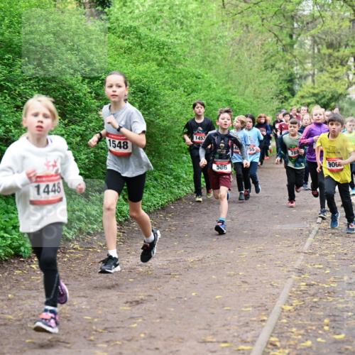 19.04.2026 - Hammer Lauf Dr. Thomas Lammeyer http://msf.ph/oto/9527384 19.04.2026 09:25:39 Laufen 1448, 1548, 1453, 788, 1408, 900, 586 meine-sportfotos.de