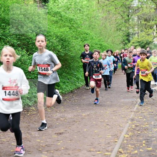 19.04.2026 - Hammer Lauf Dr. Thomas Lammeyer http://msf.ph/oto/9527386 19.04.2026 09:25:39 Laufen 1448, 1548, 1453, 586, 900, 1306, 1408 meine-sportfotos.de