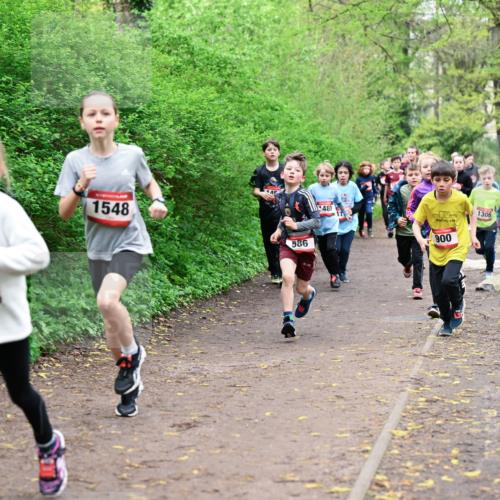 19.04.2026 - Hammer Lauf Dr. Thomas Lammeyer http://msf.ph/oto/9527387 19.04.2026 09:25:39 Laufen 1448, 1548, 586, 480, 900, 1306, 1408 meine-sportfotos.de