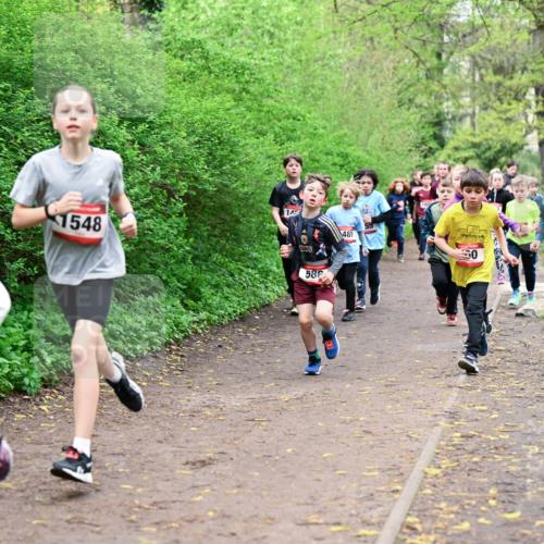 19.04.2026 - Hammer Lauf Dr. Thomas Lammeyer http://msf.ph/oto/9527389 19.04.2026 09:25:39 Laufen 1448, 1548, 480, 586, 1408 meine-sportfotos.de