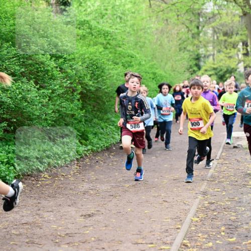 19.04.2026 - Hammer Lauf Dr. Thomas Lammeyer http://msf.ph/oto/9527390 19.04.2026 09:25:39 Laufen 155, 586, 900, 1306, 1408 meine-sportfotos.de