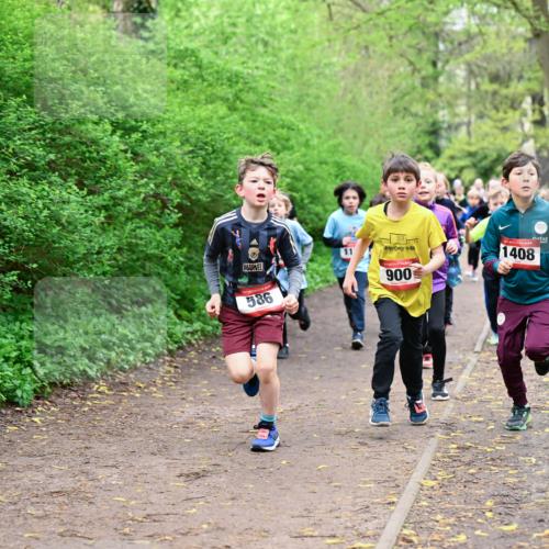 19.04.2026 - Hammer Lauf Dr. Thomas Lammeyer http://msf.ph/oto/9527395 19.04.2026 09:25:40 Laufen 900, 1408, 586 meine-sportfotos.de
