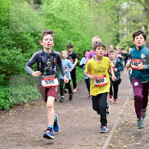19.04.2026 - Hammer Lauf Dr. Thomas Lammeyer http://msf.ph/oto/9527400 19.04.2026 09:25:40 Laufen 586, 900, 140 meine-sportfotos.de