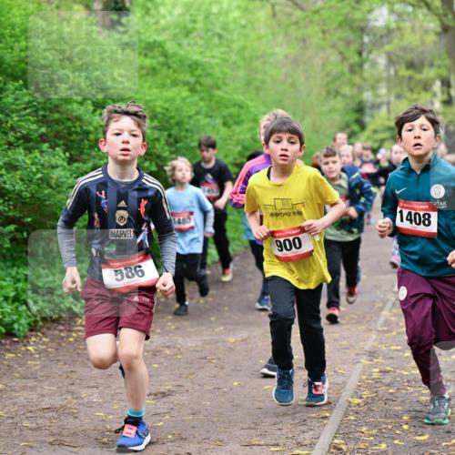 19.04.2026 - Hammer Lauf Dr. Thomas Lammeyer http://msf.ph/oto/9527402 19.04.2026 09:25:41 Laufen 1480, 900, 1408, 586 meine-sportfotos.de
