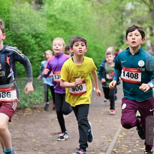 19.04.2026 - Hammer Lauf Dr. Thomas Lammeyer http://msf.ph/oto/9527411 19.04.2026 09:25:41 Laufen 586, 900, 1408 meine-sportfotos.de