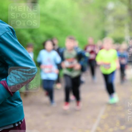 19.04.2026 - Hammer Lauf Dr. Thomas Lammeyer http://msf.ph/oto/9527413 19.04.2026 09:25:42 Laufen  meine-sportfotos.de