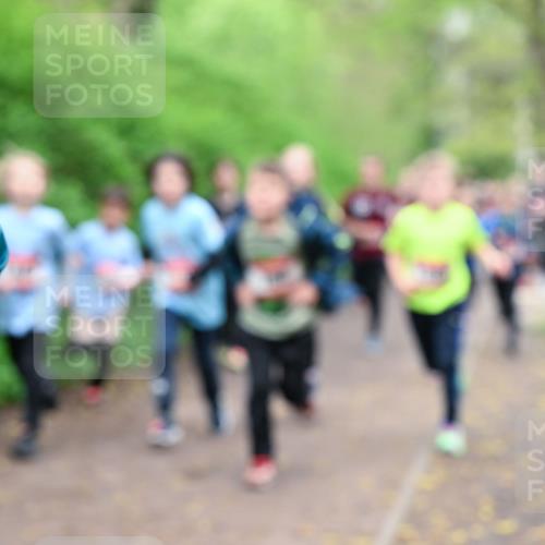 19.04.2026 - Hammer Lauf Dr. Thomas Lammeyer http://msf.ph/oto/9527414 19.04.2026 09:25:42 Laufen  meine-sportfotos.de
